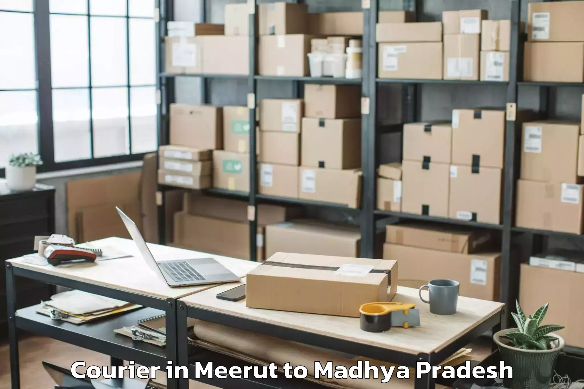 Trusted Meerut to Khandwa Courier